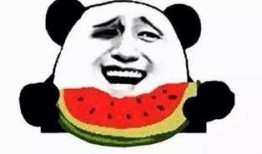 吃瓜阿蛮,揭秘娱乐圈背后的那些事儿