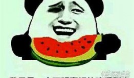 吃瓜微笑的意思,揭秘网络热词背后的趣味与哲理