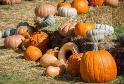 吃瓜姐妹一起来吃瓜,一起畅享欢乐瓜界盛宴