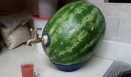 QQ优质吃瓜群推荐,热门话题一网打尽，畅享网络娱乐盛宴