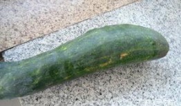 吊瓜的吃做法,解锁夏日清新口感