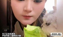 吃瓜的声音歌曲,一首歌曲带你领略人间烟火