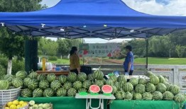 吃瓜群众花海,揭秘娱乐圈幕后风云