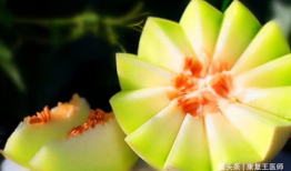 天天吃白兰瓜,品味生活，尽享甘甜