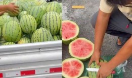 吃瓜老板销冠,揭秘瓜界传奇背后的故事