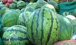 收走吃瓜群众的西瓜,吃瓜群众西瓜被收引发热议