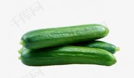 兰州吃瓜视频下载,揭秘兰州街头美食盛宴