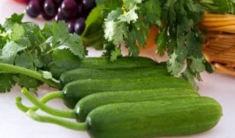 爱旅游吃瓜,一场说走就走的美食之旅