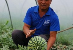 河南吃瓜园园,探寻地道的豫菜魅力