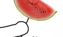 吃瓜吃撑图片大全,欢乐瞬间大盘点