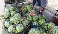 沂南最新吃瓜事件,揭秘当地热议的神秘现象