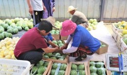 吃瓜大会小组,揭秘娱乐圈幕后故事