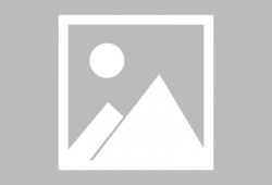 大瓜吃毛肚火锅,一场味蕾与视觉的盛宴