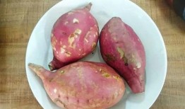 地瓜视频吃瓜视频下载,热门下载攻略大公开