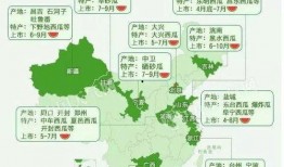 魔都吃瓜视频地图,探寻上海街头美食的秘密花园