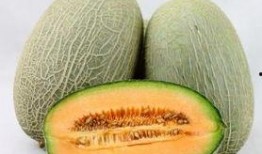 胃酸吃哈密瓜,胃酸过多者的哈密瓜饮食攻略