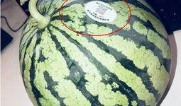 网红吃瓜出售,揭秘幕后交易与粉丝经济