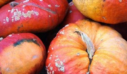 吃发霉瓜,吃出健康隐患的警示