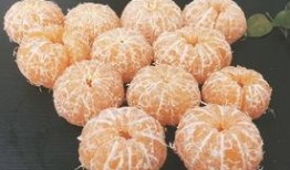 橘子将军吃瓜,橘子将军的瓜田奇遇记