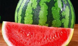 磕瓜和吃瓜的区别,揭秘网络热议背后的差异与趣味