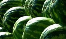 瓜多得不知道吃哪个瓜,哪一款瓜才是你的心头好？