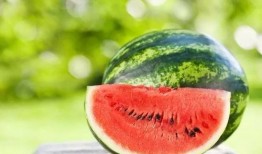 瓜哥带吃瓜粉末游戏,揭秘热门游戏背后的趣味与智慧