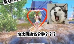 带你吃瓜之鸡吃米