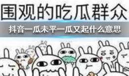 抖音吃瓜tv,揭秘娱乐圈幕后故事，带你领略明星真实生活