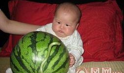 吃瓜资源社区,网络舆论场中的“瓜田”盛景