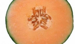 吃鹅可以吃哈密瓜吗,意想不到的美食组合探索