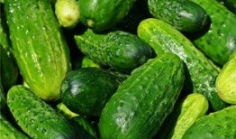 梦到吃沙瓜,探寻沙瓜之谜的奇幻之旅