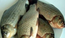 鲫吃瓜什么不同,一场味蕾与自然的对话