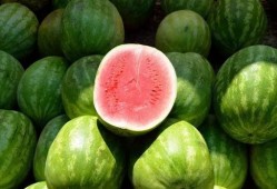 为什么叫啃瓜不叫吃瓜,揭秘“啃瓜”一词的独特魅力