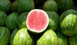 为什么叫啃瓜不叫吃瓜,揭秘“啃瓜”一词的独特魅力