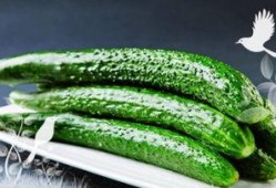 吃小绿瓜小紫瓜能减肥吗,神奇果蔬组合助力减肥新选择”