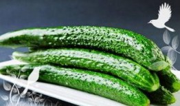 吃小绿瓜小紫瓜能减肥吗,神奇果蔬组合助力减肥新选择”