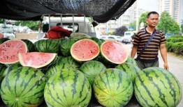 吃瓜老板销冠,揭秘瓜界传奇背后的故事