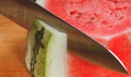 魔方小鱼吃瓜,一场吃瓜引发的奇幻冒险