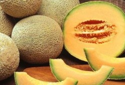 糖尿病可以吃哈密瓜,糖尿病患者的哈密瓜饮食指南