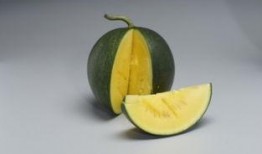 网红吃瓜出售,揭秘幕后交易与粉丝经济