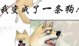 冬日吃瓜小说在线阅读,瓜田奇遇记——吃瓜小说在线阅读之旅