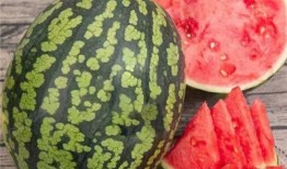 吃瓜块是什么,网络流行语的趣味解读