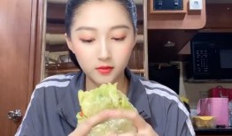 近日吃瓜粉丝现状,揭秘当代网络围观现象