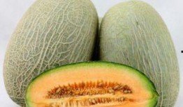 吃哈密瓜头变哈密瓜,揭秘哈密瓜头变哈密瓜的神奇现象
