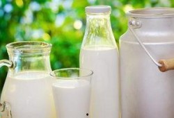 吃瓜再喝牛奶,夏日健康生活新主张