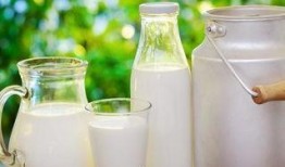 吃瓜再喝牛奶,夏日健康生活新主张