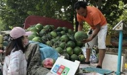 济宁市吃瓜,品味民俗风情