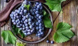 长期吃瓜坏肚子,揭秘“坏肚子”的真相