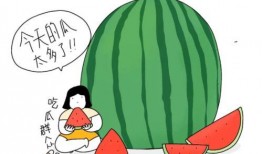 奉节老师 吃瓜,揭秘校园里的那些“瓜”