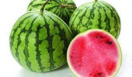 为什么叫啃瓜不叫吃瓜,揭秘“啃瓜”一词的独特魅力